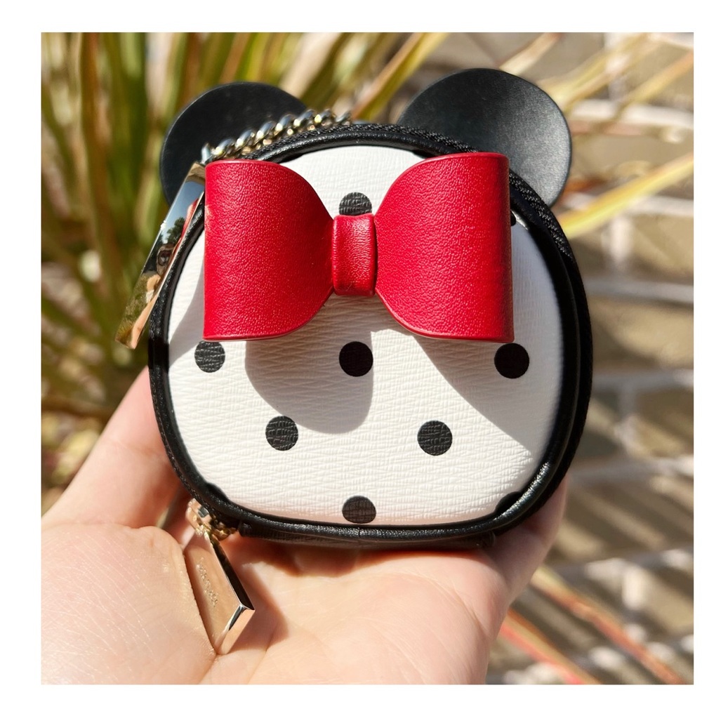 Mickey Mouse coin purse